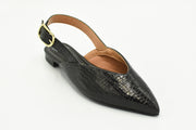 San Cristobal Flats  Gra.Negro