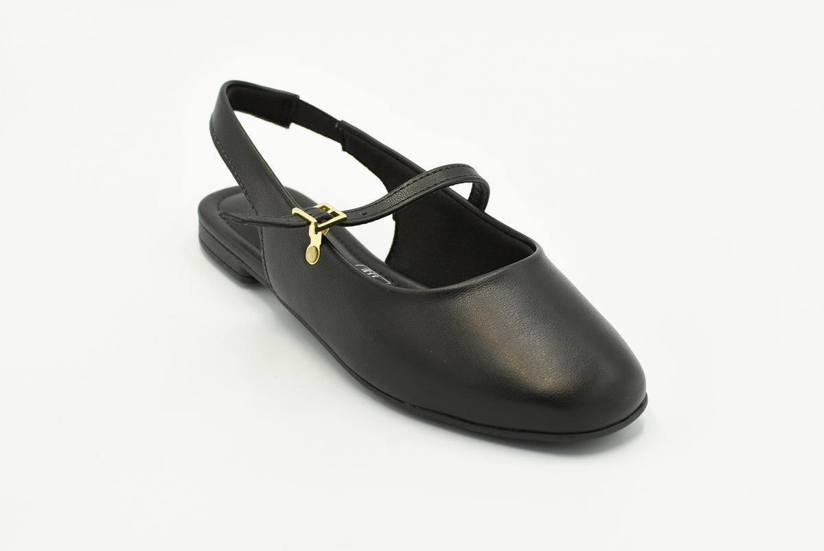 Sudbury Flats Negro