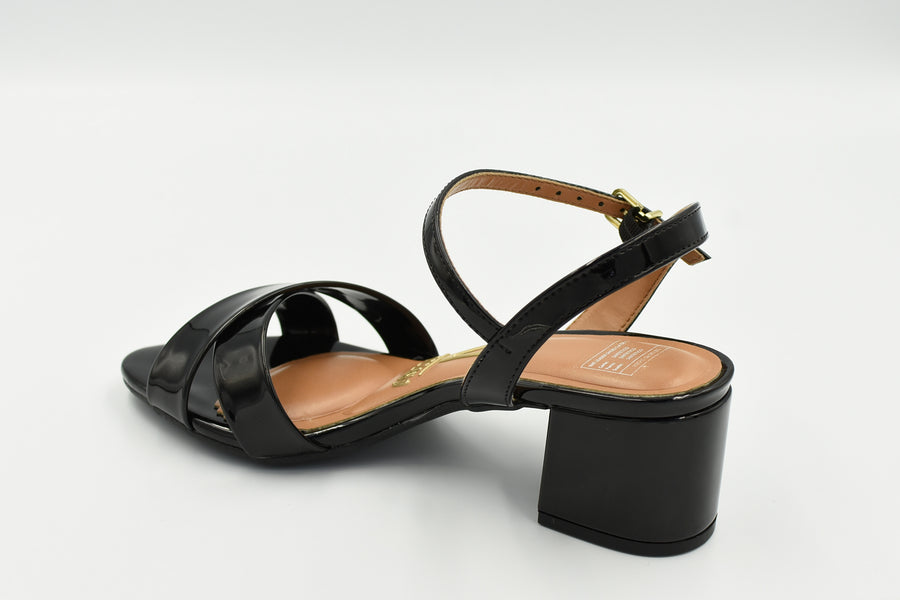 6291927 charol negro